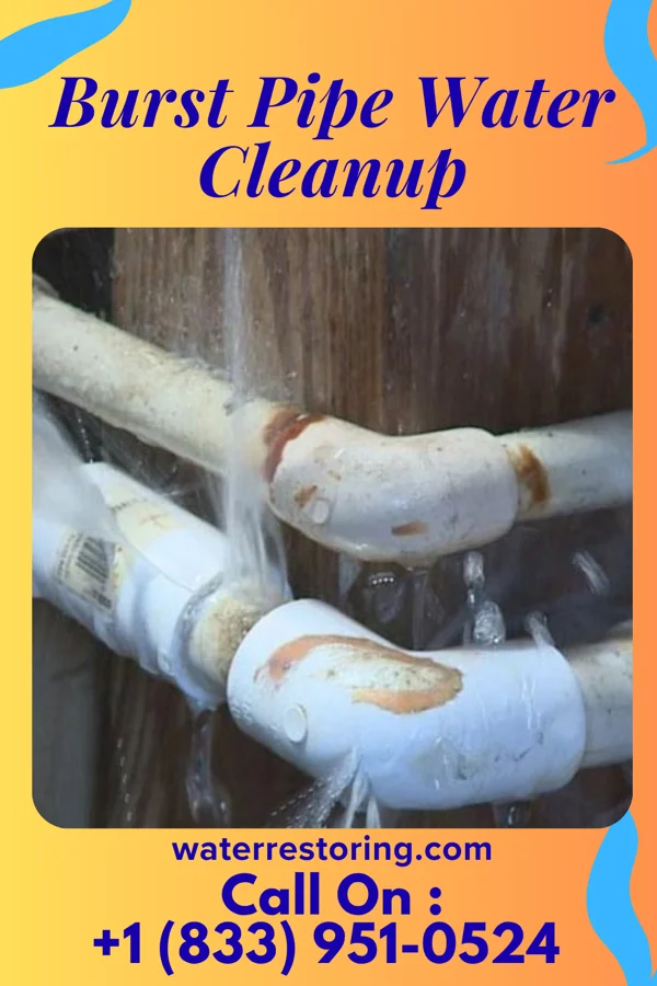 Burst Pipe Water Cleanup in Valeria, IA